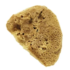 Akvarelsvamp