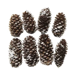 Brune kogler med dekorationssne, 8 stk. Ø2-2,5 cm, længde 5-6 cm