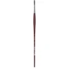 College 8730 Round Brush 10