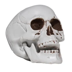 Dødningehoved af plast til halloweendekoration. Størrelse ca. 10×10×10 cm.