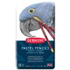 Derwent pastelblyanter 36 stk.