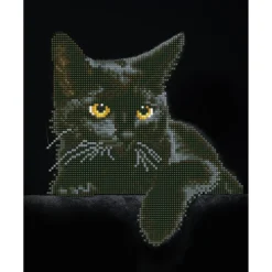 Diamond Dotz Midnight Cat – diamond painting, 27,9×35,5 cm, 4389 dotz