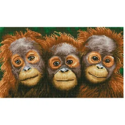 Diamond Dotz Oranging Around