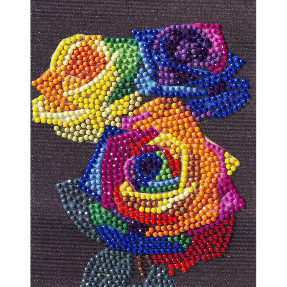 Diamond painting – 12×16 cm stort motiv med regnbuefarvede roser