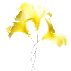 Magnoliafjer 12 stk. gul