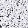 MIYUKI Delica hvid mat 5g – DBM0851 Crystal Matted AB