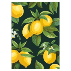 Paint by number/mal efter tal – citroner, 25×35 cm + 18 farver og 3 pensler