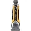 Rembrandt oliefarve 40 ml Light Gold - 802