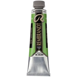 Rembrandt oliefarve 40 ml Permanent Green Medium - 614