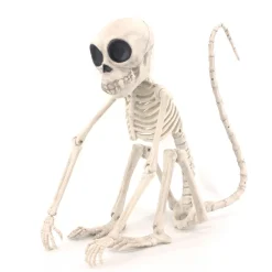 Skelet Abe