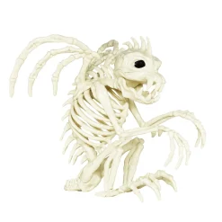 Skelet af en dinosaur eller drage med vinger! 24×23×20 cm