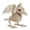 Skelet af en meget død fugl/ravn. Højde 19 cm.