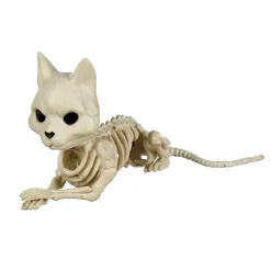 Skelet af en meget død kat – længde 17 cm