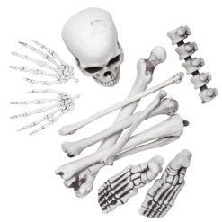 Skeletdele i plast 12 stk. knoglerdele bl.a. kranium, lårben og fødder