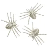 Skelet-edderkop – tre meget skræmmende edderkopper til halloween! 12×7 cm