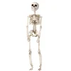 Skelet til halloween – 29 cm højt