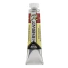 Water col 20ml Burnt sienna