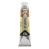 Water col 20ml Gold ochre