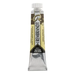 Water col 20ml Greenish umber