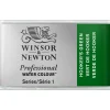 Winsor & Newton Professional akvarelfarve 1/1 pan Hooker's Green 311