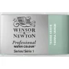 Winsor & Newton Professional akvarelfarve 1/1 pan Terre Verte 637