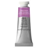 Winsor & Newton Professional akvarelfarve 14 ml Davy'S Grey 217