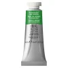 Winsor & Newton Professional akvarelfarve 14 ml Permanent Sap Green 503