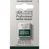 Winsor & Newton Professional akvarelfarve half pan Perylene Green 460