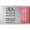 Winsor & Newton Professional akvarelfarve 1/1 panp Potter's Pink 537